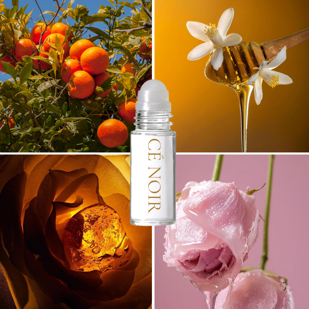 Midnight Noir Fragrance Oil