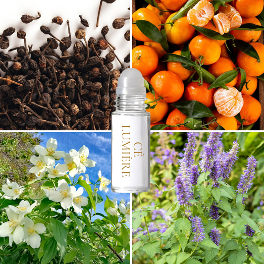 Ce Lumière Fragrance Oil