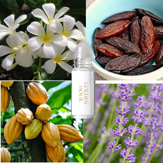 Golden Hour Fragrance Oil