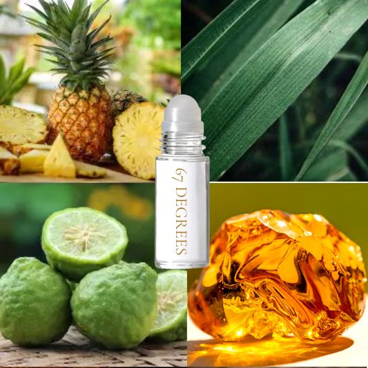 67 Degrees Fragrance Oil (Best seller)